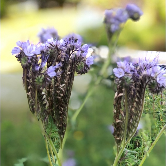 🚨🚨 Katie Grace is Live 🖤🤘🏼🌲🏔️🥾🌙 - Picture 10 of 13